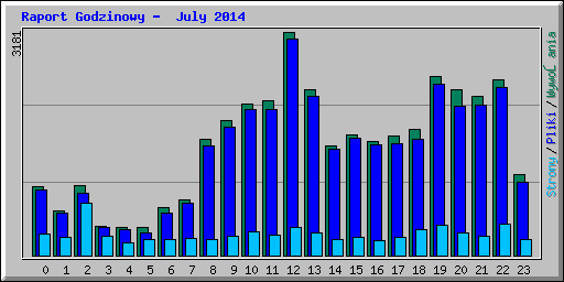 Raport Godzinowy -  July 2014